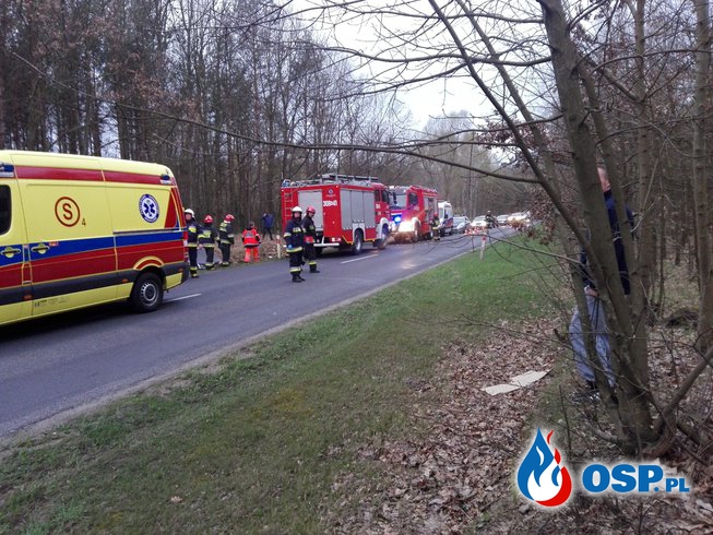 Wypadek na trasie 551 Dąbrowa Chełmińska - Nowy dwór OSP Ochotnicza Straż Pożarna