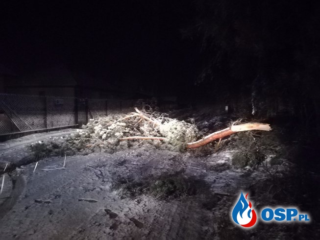 Połamane drzewo Nowe Miasto OSP Ochotnicza Straż Pożarna