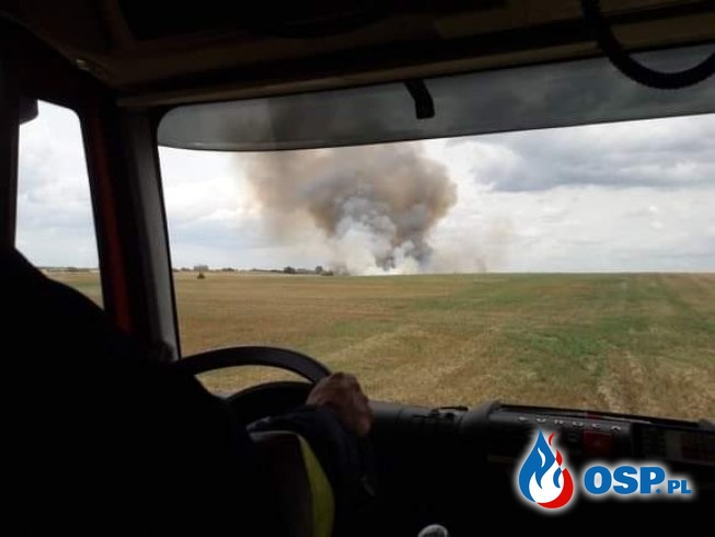 Pożar 10 hektarów zboża OSP Ochotnicza Straż Pożarna