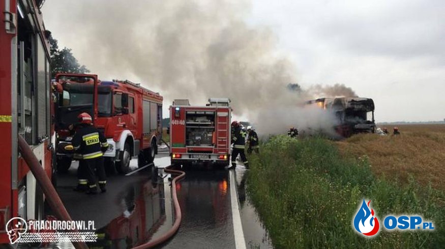 Czołowy wypadek koło Straduni. Ciężarówka stanęła w ogniu! OSP Ochotnicza Straż Pożarna