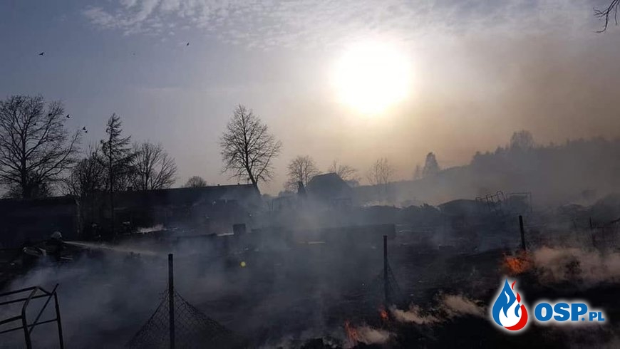 Spłonęło 17 budynków, w akcji 100 strażaków. Ogromny pożar pod Wyszkowem. OSP Ochotnicza Straż Pożarna