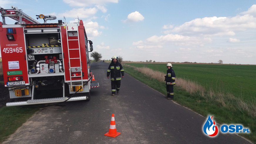 Pożar trawy na trasie Gądno-Witnica OSP Ochotnicza Straż Pożarna