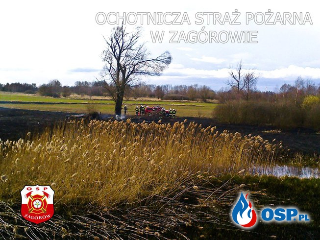Pożar traw. OSP Ochotnicza Straż Pożarna