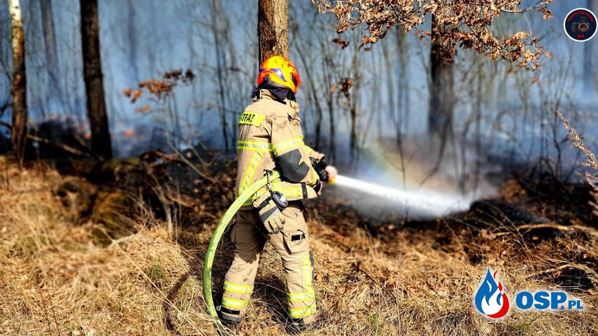 Duży pożar lasu pod Warszawą. Strażaków wspiera samolot gaśniczy. OSP Ochotnicza Straż Pożarna