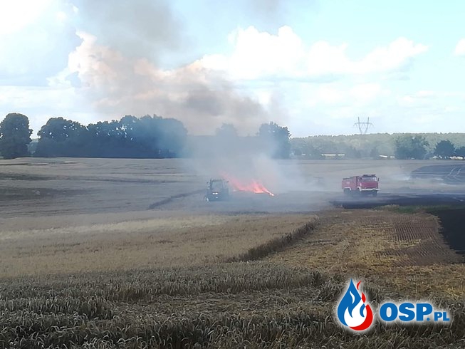 Największy pożar w powiecie spłonęło 50 hektarów  OSP Ochotnicza Straż Pożarna