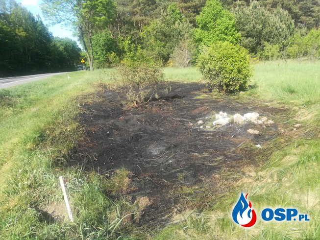 Pożar traw przy DK7 - duże zadymienie na drodze OSP Ochotnicza Straż Pożarna