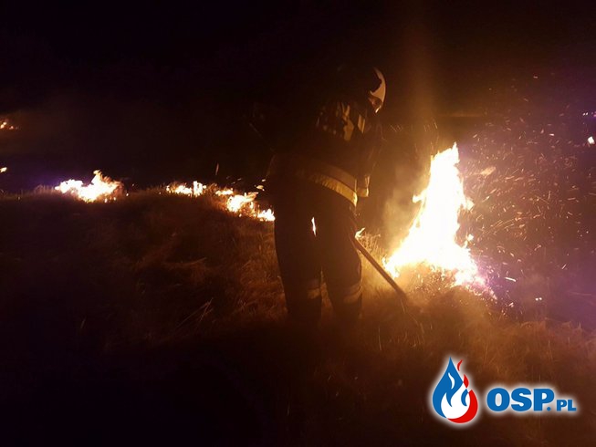 Pożar Traw przy ul. Przylaski OSP Ochotnicza Straż Pożarna