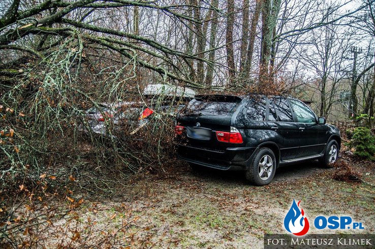 Drzewo spadło na 3 samochody OSP Ochotnicza Straż Pożarna