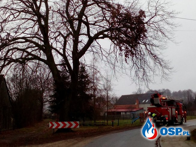 Pierwsza akcja 2019 roku OSP Ochotnicza Straż Pożarna