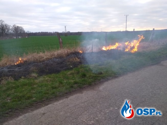 2019-03-29 godz.17:50 trawa na poboczu drogi OSP Ochotnicza Straż Pożarna