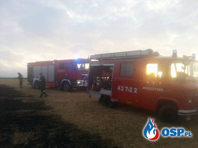 Pożar ścierniska OSP Ochotnicza Straż Pożarna