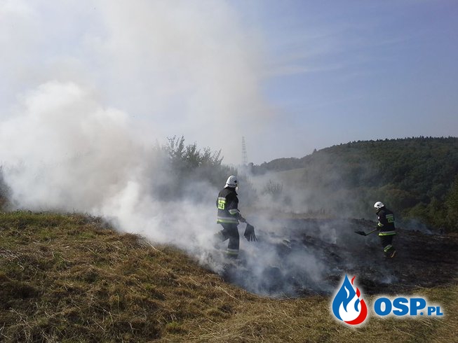 Duży pożar traw przy ulicy Śliwinki OSP Ochotnicza Straż Pożarna