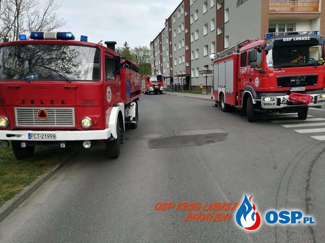 Załączenie czujki tlenku węgla w mieszkaniu oraz pożar trawy i krzewów ogrodowych OSP Ochotnicza Straż Pożarna