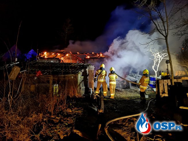 Nocny pożar stodoły. Z ogniem walczyło 7 zastępów strażaków. OSP Ochotnicza Straż Pożarna
