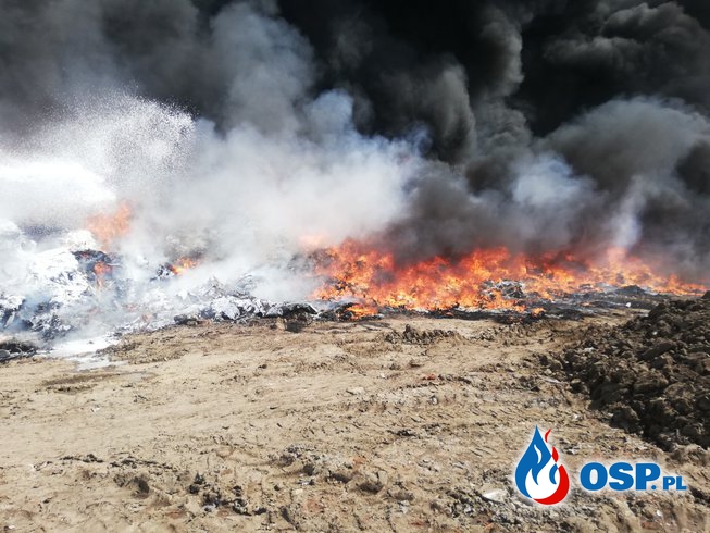 Pożar składowiska odpadów pod Krotoszynem. W akcji 11 zastępów strażaków. OSP Ochotnicza Straż Pożarna