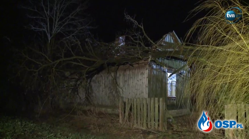 Drzewo spadło na dom w Borownie, koło Częstochowy OSP Ochotnicza Straż Pożarna