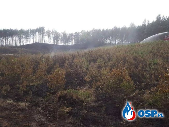 Groźny pożar na granicy powiatów OSP Ochotnicza Straż Pożarna