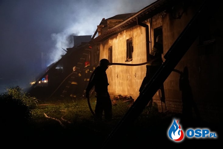 Ponad 10 tys. kurcząt spłonęło w pożarze pod Puławami OSP Ochotnicza Straż Pożarna