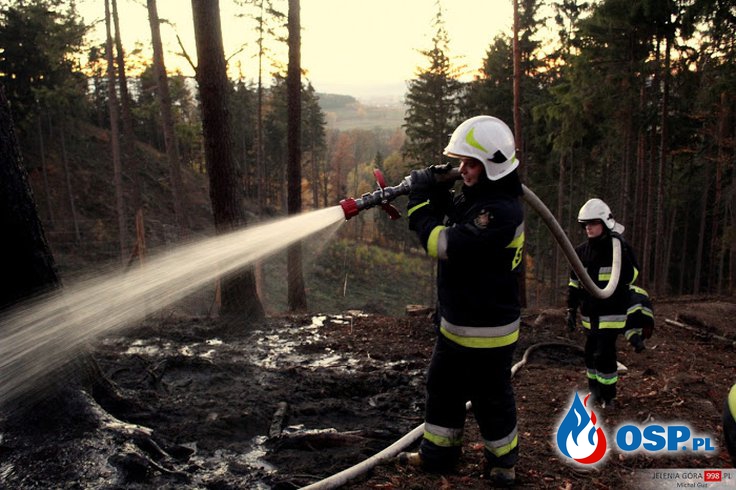 Jelenia Góra: Pożar ściółki leśnej w okolicach ul. Łącznej. OSP Ochotnicza Straż Pożarna