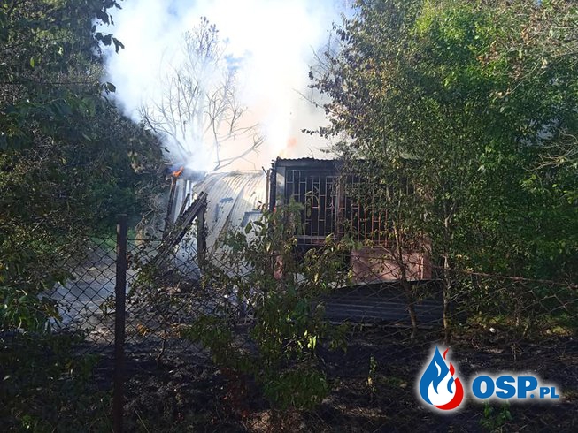 Pożar budynku letniskowego Nowe Miasto OSP Ochotnicza Straż Pożarna