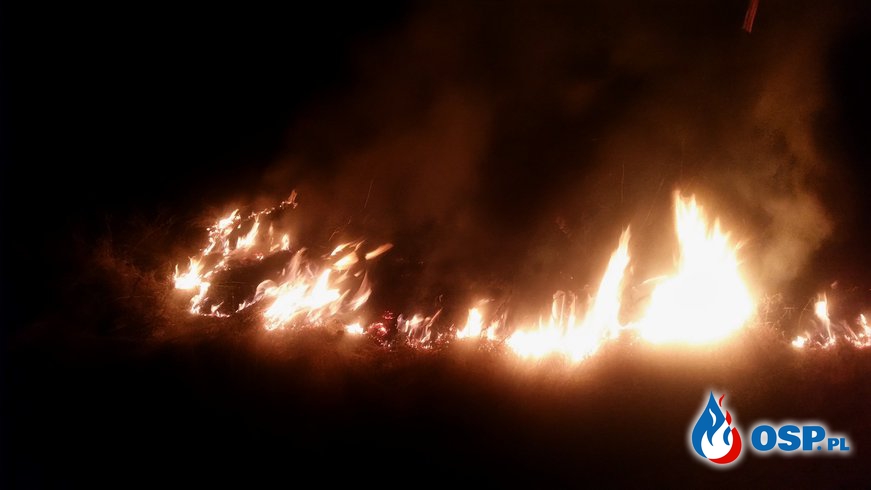 Pożar traw na starym boisku OSP Ochotnicza Straż Pożarna