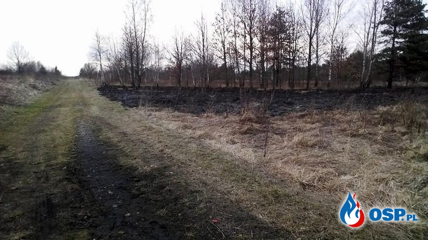 Kolejne podpalenia traw - 2 zdarzenia. OSP Ochotnicza Straż Pożarna