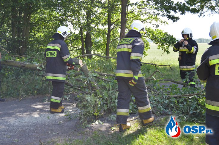 Przewrócone drzewo w Stajkowie OSP Ochotnicza Straż Pożarna