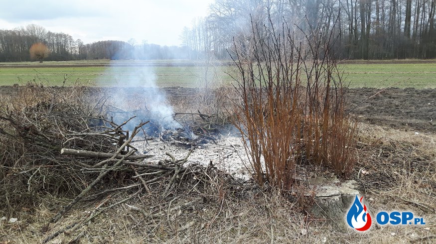 Pożar suchej trawy i gałęzi w Ruszkowie Pierwszym OSP Ochotnicza Straż Pożarna