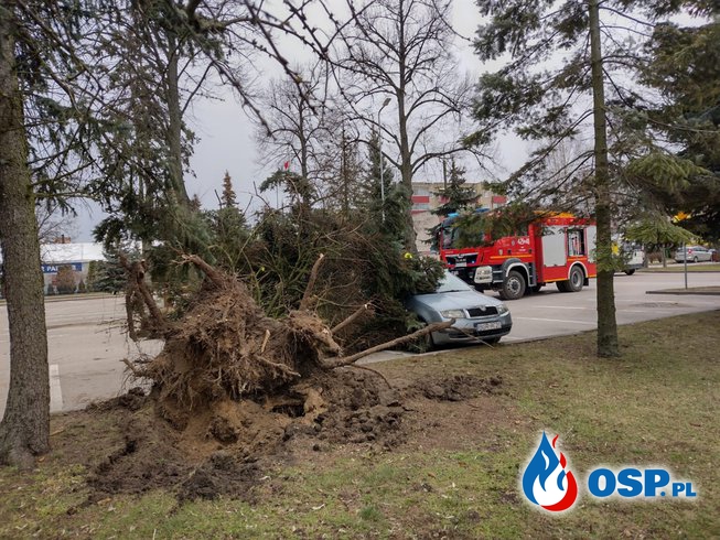 Zerwane dachy i połamane drzewa OSP Ochotnicza Straż Pożarna