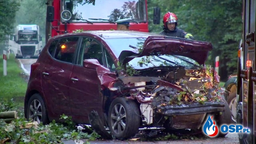 Drzewo przygniotło dwa samochody podczas nawałnicy. Jedna osoba ciężko ranna. OSP Ochotnicza Straż Pożarna