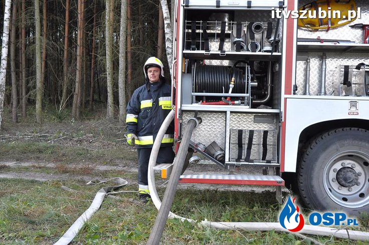 Pożar lasu - ćwiczenia międzypowiatowe na kompleksie leśnym OSP Ochotnicza Straż Pożarna