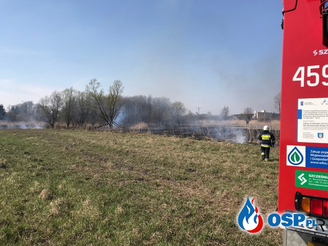 41/2019 Pożar trawy OSP Ochotnicza Straż Pożarna