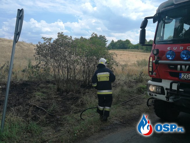 Pożar trawy obok pola że zbożem w OSP Ochotnicza Straż Pożarna