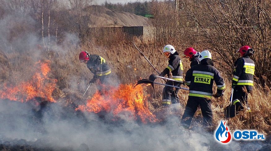 Rząd przyjął projekt ustawy o Ochotniczych Strażach Pożarnych OSP Ochotnicza Straż Pożarna