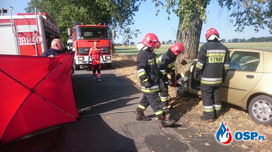 Tragiczny w skutkach wypadek pomiędzy Żabnikiem a Gostomią OSP Ochotnicza Straż Pożarna