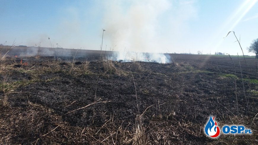 Pożar trzcinowiska droga Bielin- Gądno OSP Ochotnicza Straż Pożarna