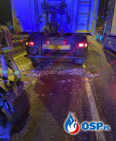 2 tony ryby wysypały się z ciężarówki na drogę. Nietypowa akcja strażaków z OSP Wejherowo. OSP Ochotnicza Straż Pożarna