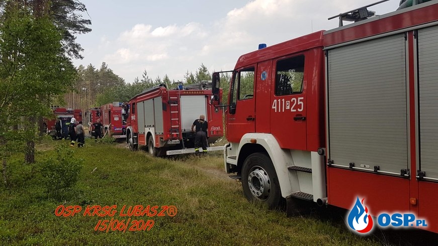 Pożar Lasu na granicy dwóch powiatów OSP Ochotnicza Straż Pożarna