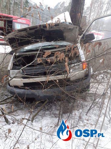 Bus owinął się wokół drzewa. Pasażerka zginęła, trzy osoby trafiły do szpitala. OSP Ochotnicza Straż Pożarna