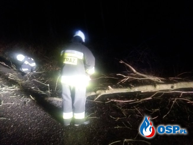 Powalone  drzewo na drodze powiatowej OSP Ochotnicza Straż Pożarna