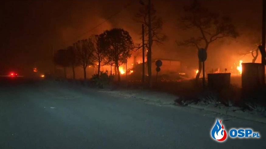 Ogromne pożary lasów w Grecji. Zginęło już 50 osób, ponad 150 jest rannych! OSP Ochotnicza Straż Pożarna