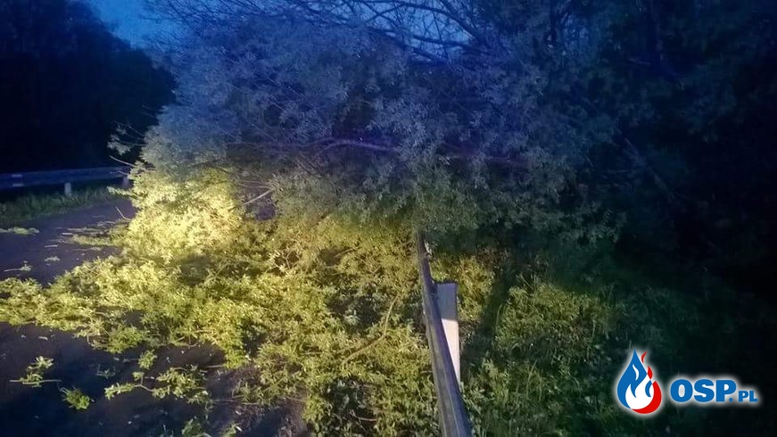 Wypadek drogowy, plama oleju na Jeziorze Solińskim, Powalone drzewo - 3 wyjazdy w jeden dzień OSP Ochotnicza Straż Pożarna
