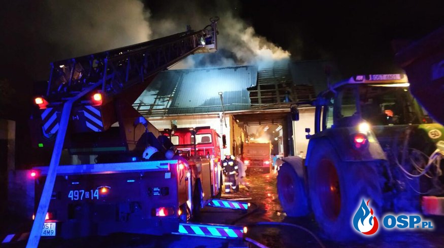 Pożar budynku gospodarczego na Opolszczyźnie. Konieczna była ewakuacja zwierząt. OSP Ochotnicza Straż Pożarna