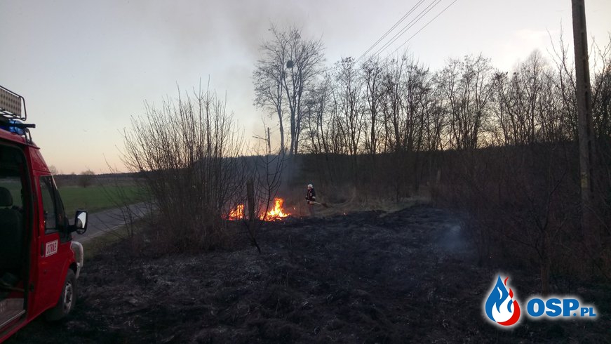 Wypalanie traw w pełni OSP Ochotnicza Straż Pożarna