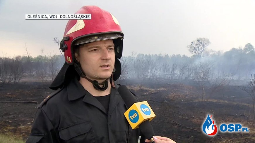 Ponad 1200 pożarów lasów i traw w całym kraju. Akcje gaśnicze utrudniał silny wiatr. OSP Ochotnicza Straż Pożarna