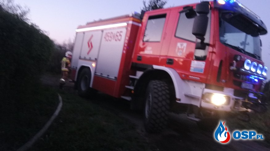 Pożar przy nasypie kolejowym w Witniczce OSP Ochotnicza Straż Pożarna