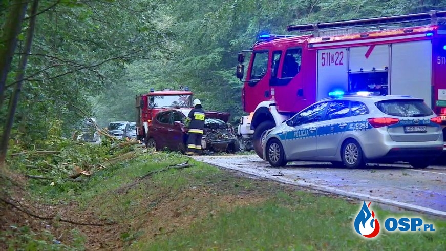 Drzewo przygniotło dwa samochody podczas nawałnicy. Jedna osoba ciężko ranna. OSP Ochotnicza Straż Pożarna