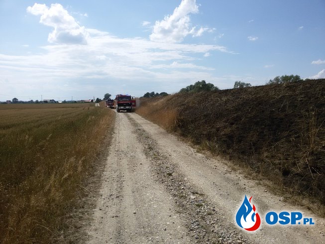 Pożar wałów przeciwpowodziowych OSP Ochotnicza Straż Pożarna