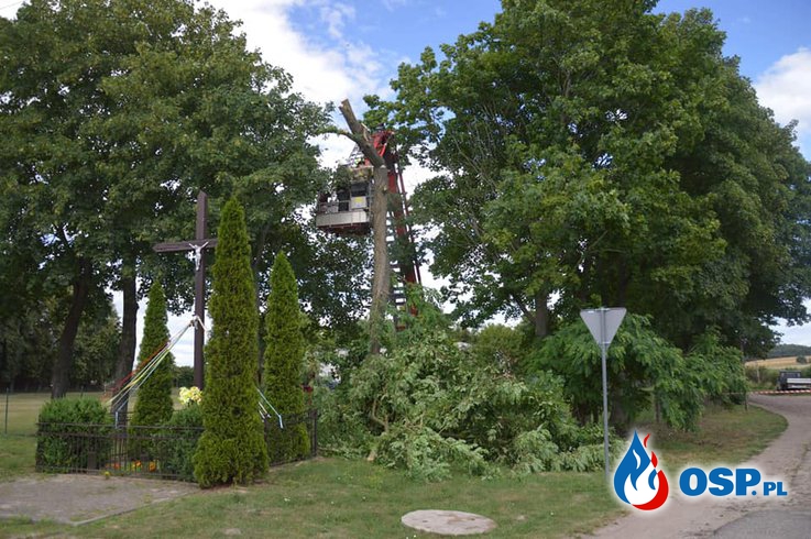 Templewo - pękające drzewo OSP Ochotnicza Straż Pożarna