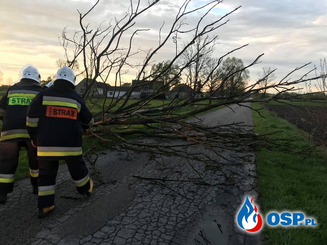 Skutki przejścia gwałtownej burzy - zerwany dach, powalone drzewa OSP Ochotnicza Straż Pożarna